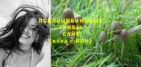 МДПВ Алзамай