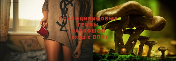 МДПВ Алзамай