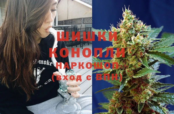 МДПВ Алзамай