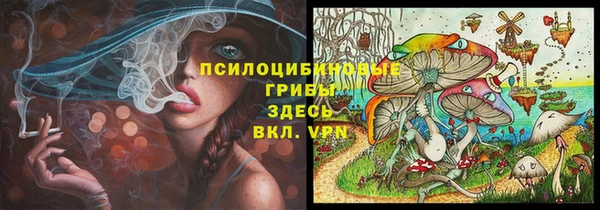 МДПВ Алзамай