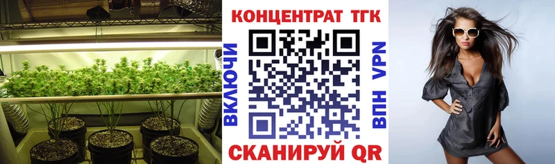 наркотики Курчалой ТГК гашишное масло
